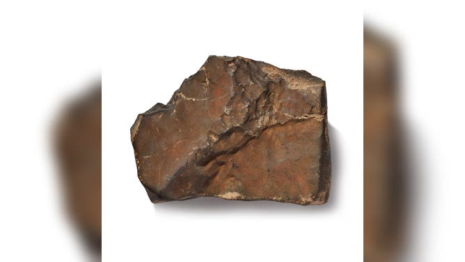 Photo of NWA 16788, the largest Martian meteorite to be found on Earth.