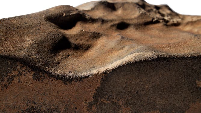 Close-up photo of the surface of NWA 16788, which is up for auction on July 16.