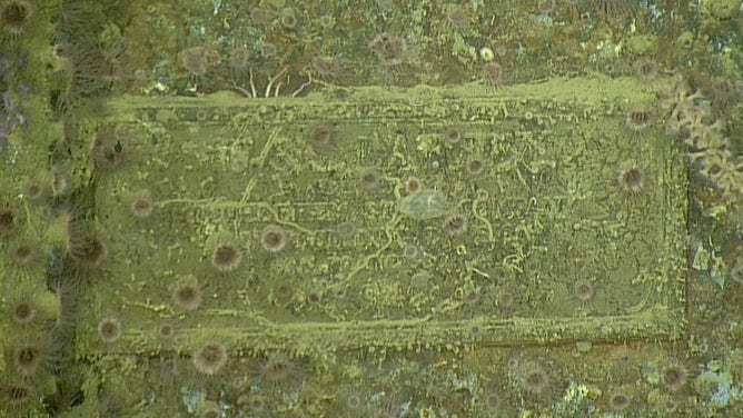 Maritime experts on the NA173 expedition explored the wreck of the USS Laffey.