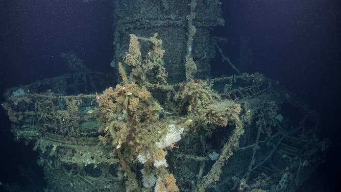 Maritime experts on the NA173 expedition explored the wreck of the USS Laffey.