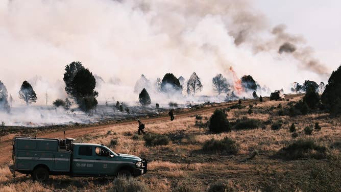 The White Sage Fire burning in Arizona on July 15.