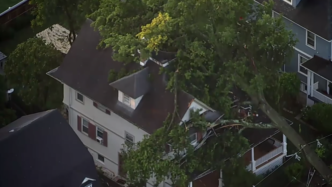 A tree fell on a home in Plainfield, New Jersey, during Thursday night's severe storms.