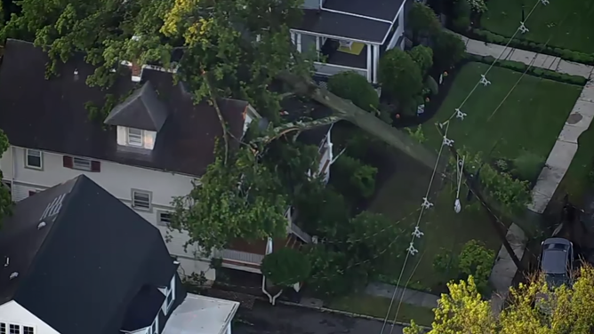 A tree onto a home in Plainfield, New Jersey. 