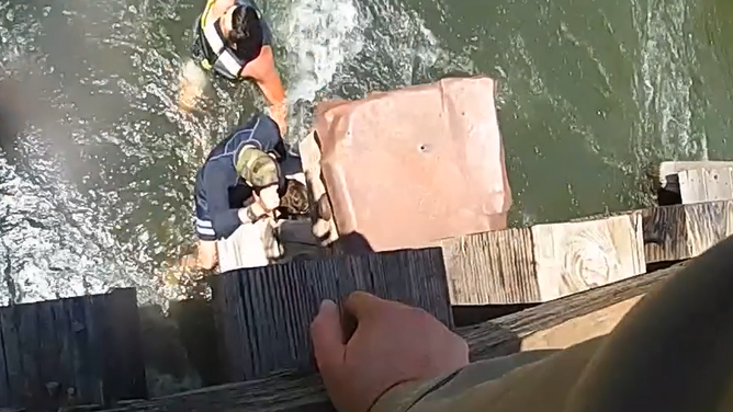 An officer on the bridge throws a bag to help keep the woman's head up, while people in the water assist.