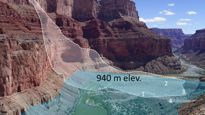 Driftwood sediments found around the Grand Canyon.