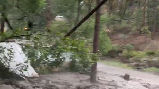 Tree toppled by home in Ruidoso flash flooding.