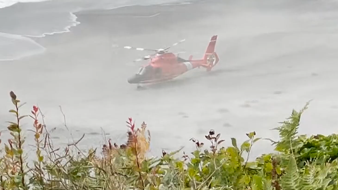 The helicopter lands on the beach after the rescue.