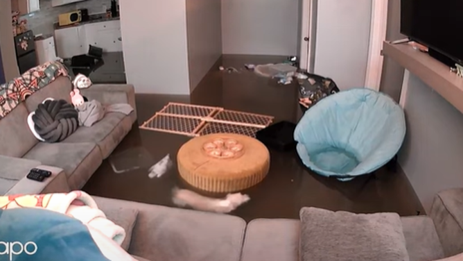 Home security camera footage captured a dog’s battle with rising floodwaters.