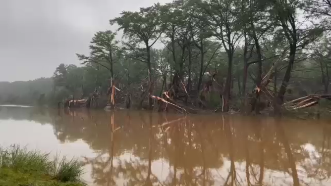 Storm damage in Kerrville, TX. Note how the lower sections of the trees have been shredded by floodwater and debris.