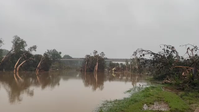 Storm damage in Kerrville, TX. Note how the lower sections of the trees have been shredded by floodwater and debris.