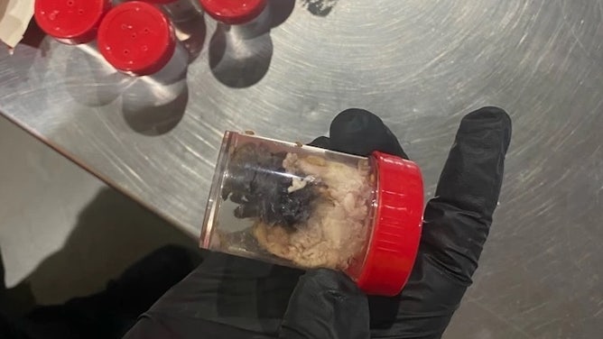Containers of tarantulas.