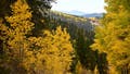 First taste of fall on the way as cooler air targets the eastern US - Fox News