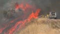 California's Gifford Fire surges to nearly 40,000 acres closing highway, evacuation orders expanded - Fox News