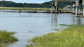 Juneau residents get all clear after glacial lake outburst sent debris-filled water rushing down Alaska river - Fox News