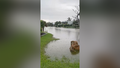 Torrential rain in Florida leads to flooded roads on Sanibel Island - Fox News