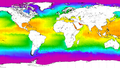 La Nina Watch issued while Pacific continues to show ENSO-neutral conditions - Fox News