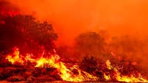 California's Gifford Fire engulfs nearly 50,000 acres as explosive spread leads to additional evacuations