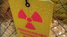 Radioactive wasp nests found at former nuclear weapons site