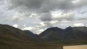 First signs of changing leaves spotted in Alaska as seasonal shift begins