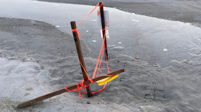 Hurricane Erin's high tides impact sea turtle nests along East Coast beaches