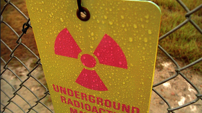 Radioactive wasp nests found at former nuclear weapons site