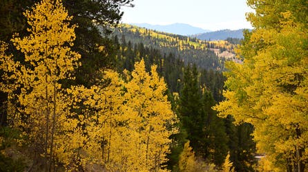 First taste of fall on the way as cooler air targets the eastern US