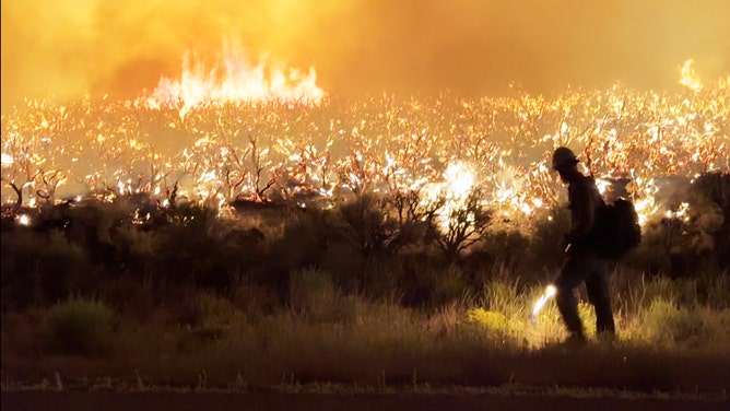 Firefighter with a "drip torch" sets a line of fire along Hwy24 during overnite operations the Monroe Canyon Fire.