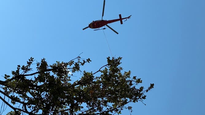 Helicopter removing items from the cultivation site.