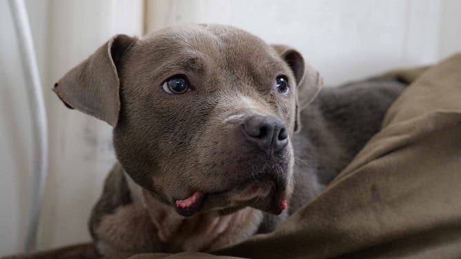 River, after she was rescued.