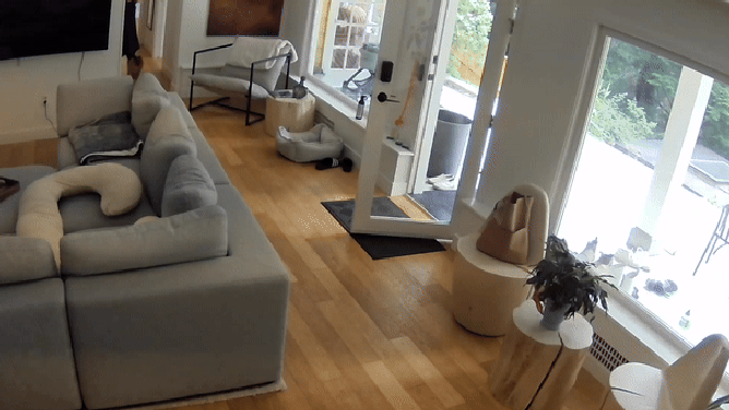 Looped video of Scout chasing the bear out of him home.