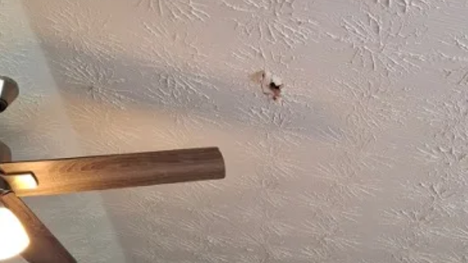 Meteorite identified after crashing into a Georgia home