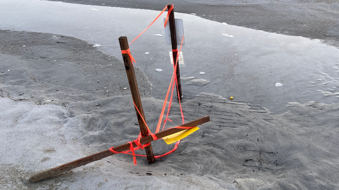 Hurricane Erin high tides impact sea turtle nests along Florida coastline