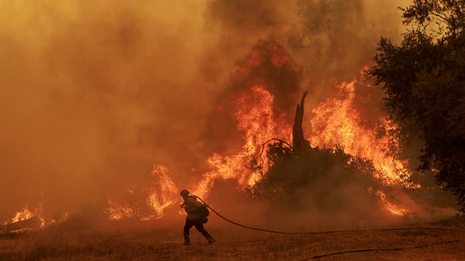 Firefighters battle flames from the Canyon Fire burn brush on August 7, 2025 in Castaic, California.