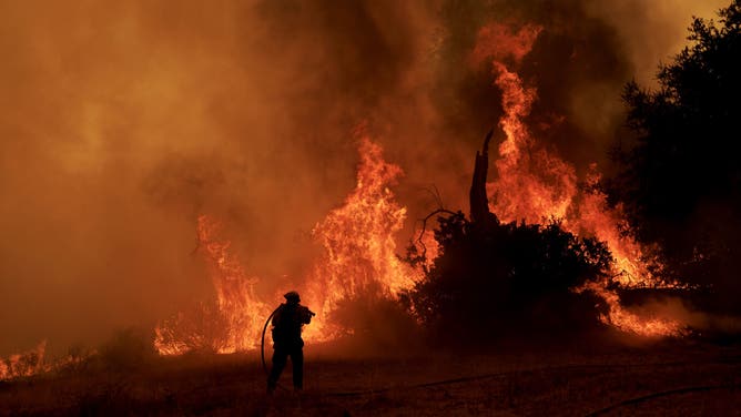 A firefighter battles flames from the Canyon Fire on August 7, 2025 in Castaic, California.