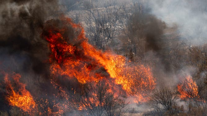 The Canyon Fire burns in Hasley Canyon, California, US, on Friday, Aug. 8, 2025.