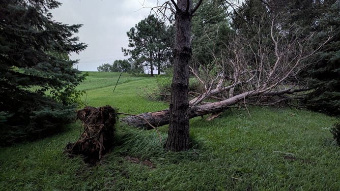 Storm damage in Gretna, Nebraska.