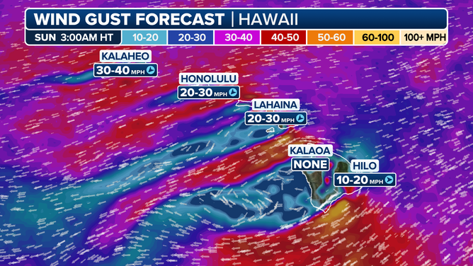 Hawaii Wind Gust Forecast