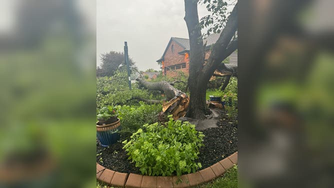 Wind storm damage in Omaha, Nebraska