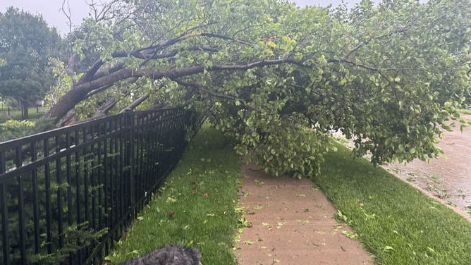 Wind storm damage in Omaha, Nebraska