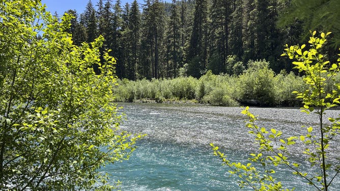 Hoh River along the Hoh River Trail in Olympic National Park in Washington State on Saturday, June 25, 2022.