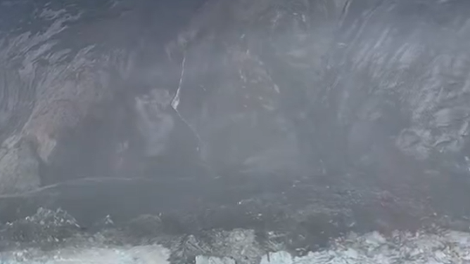 A flyover of the landslide that collapsed onto South Sawyer Glacier and Tracy Arm Fjord, about 60 miles southeast of Juneau.