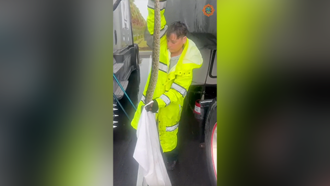 This image shows Miami-Dade Fire Rescue’s Lt. Jolie Vandervlught holding a snake after removing it from the engine compartment of a tractor-trailer.