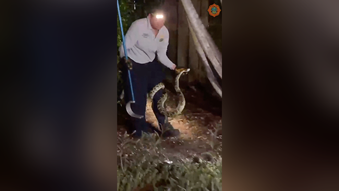 This image shows Miami-Dade Fire Rescue’s Lt. Jolie Vandervlught holding a snake after removing it from the back yard of a home.