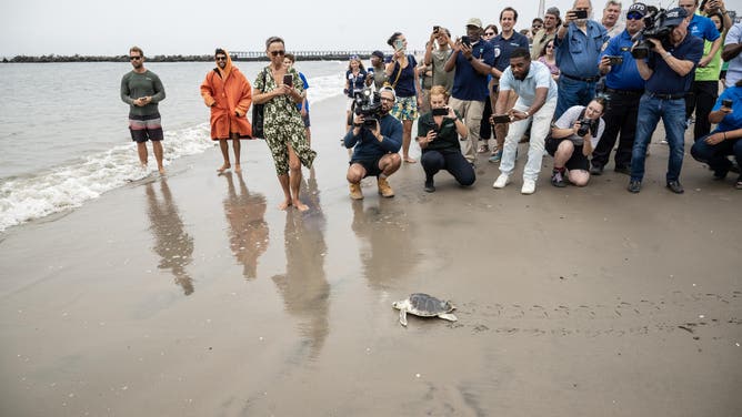 Elton makes his way to the water.