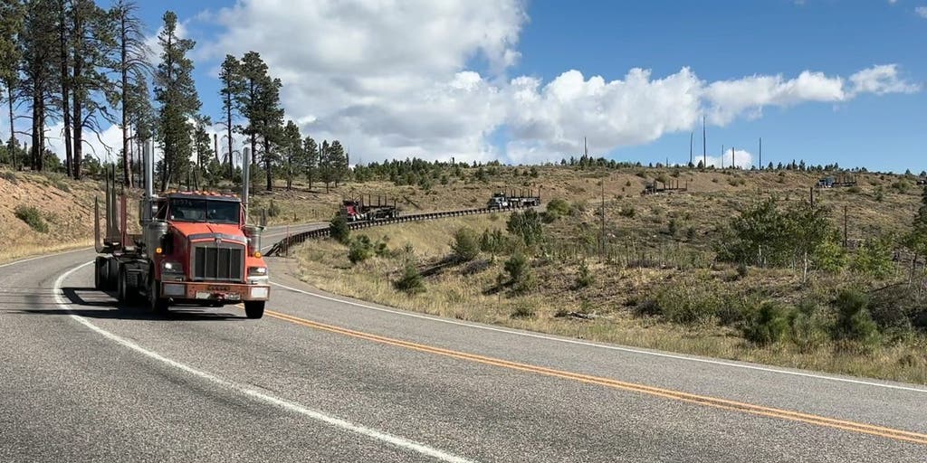 Idaho firefighter, 70, dies during wildfire operations near Grand Canyon National Park
