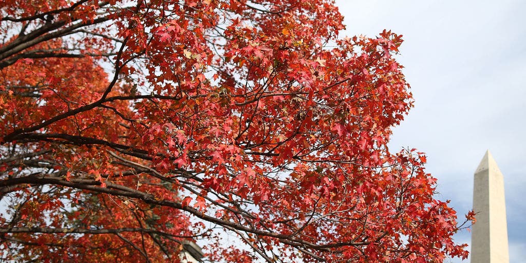 Traveling for fall foliage? Here's where you should go and when