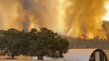 Immediate evacuation orders issued as wildfire rapidly spreads in Northern California
