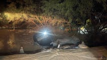 Flash flooding sweeps away driver in Arizona as Southwest's monsoon season enters final weeks