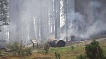 Smokejumpers arrive at Garnet Fire to protect ancient sequoia trees in Sierra National Forest