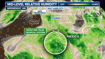 How Tropical Storm Lorena will help bring increased rainfall to Southwest